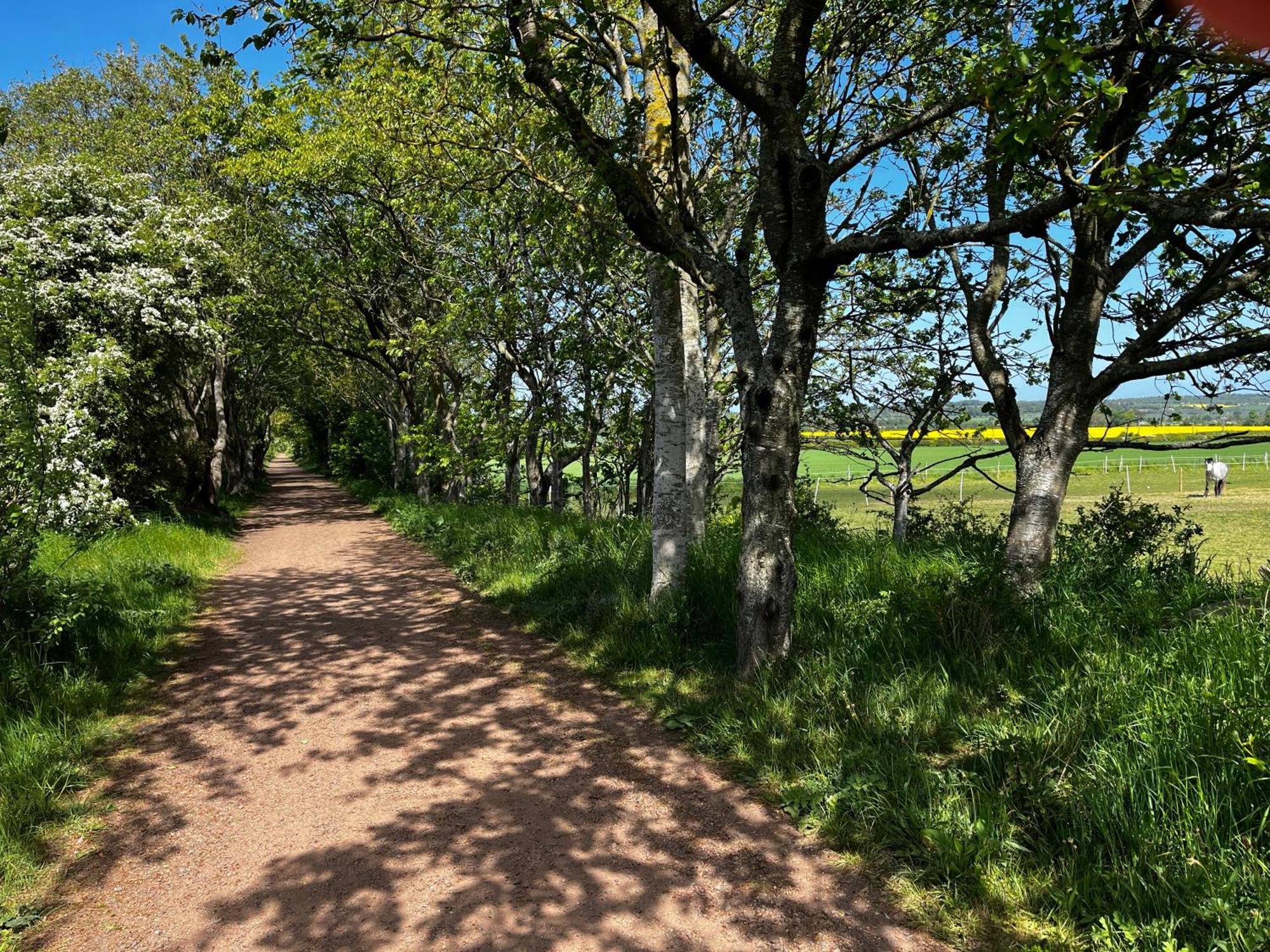 Islay House,Comfortable Home With Private Garden, Pencaitland, East Lothian, Scotland Εξωτερικό φωτογραφία